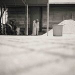 photo-output_5 3